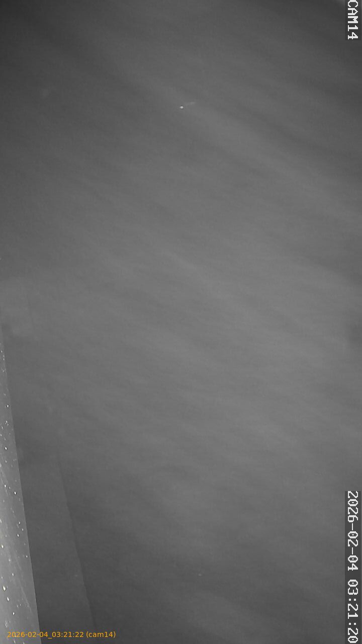 thumbnail_20260204032122