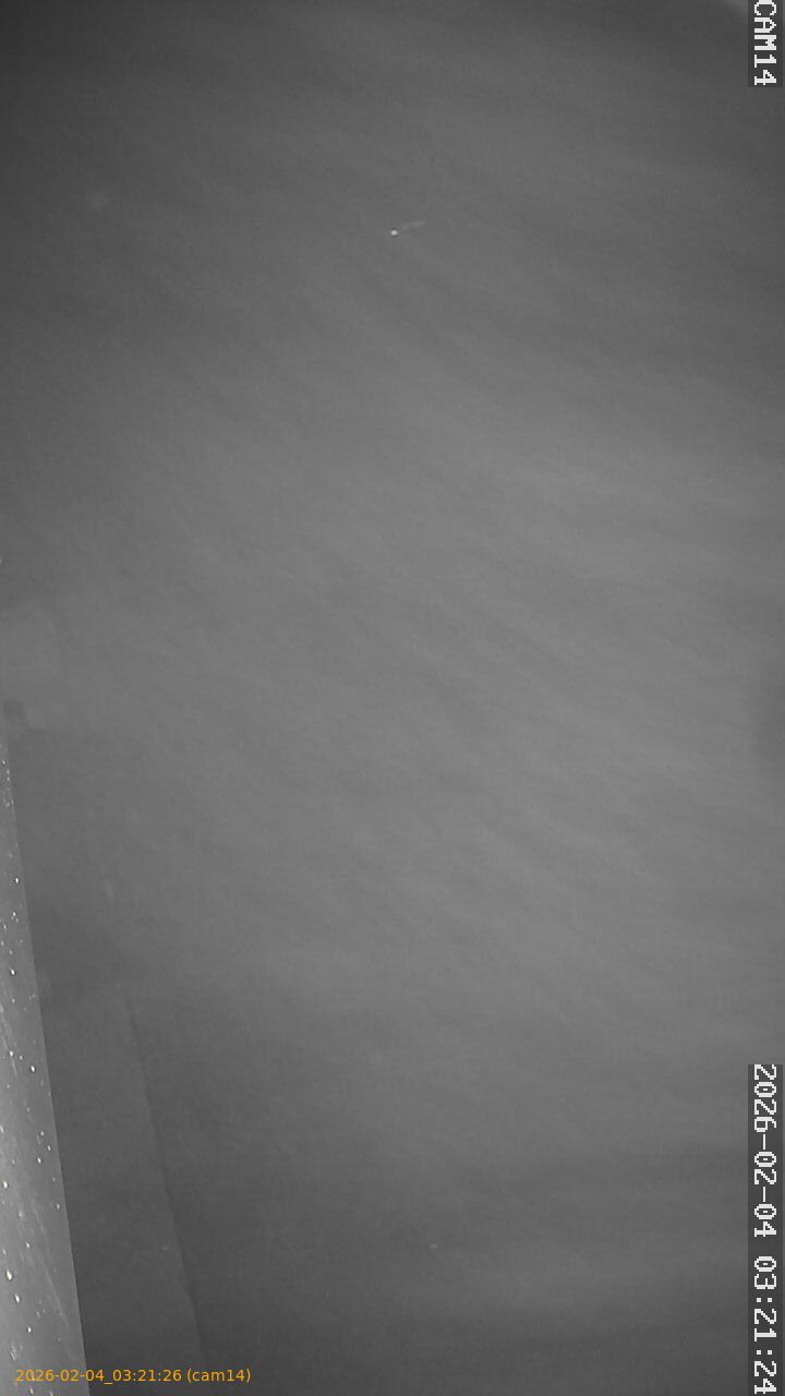 thumbnail_20260204032126