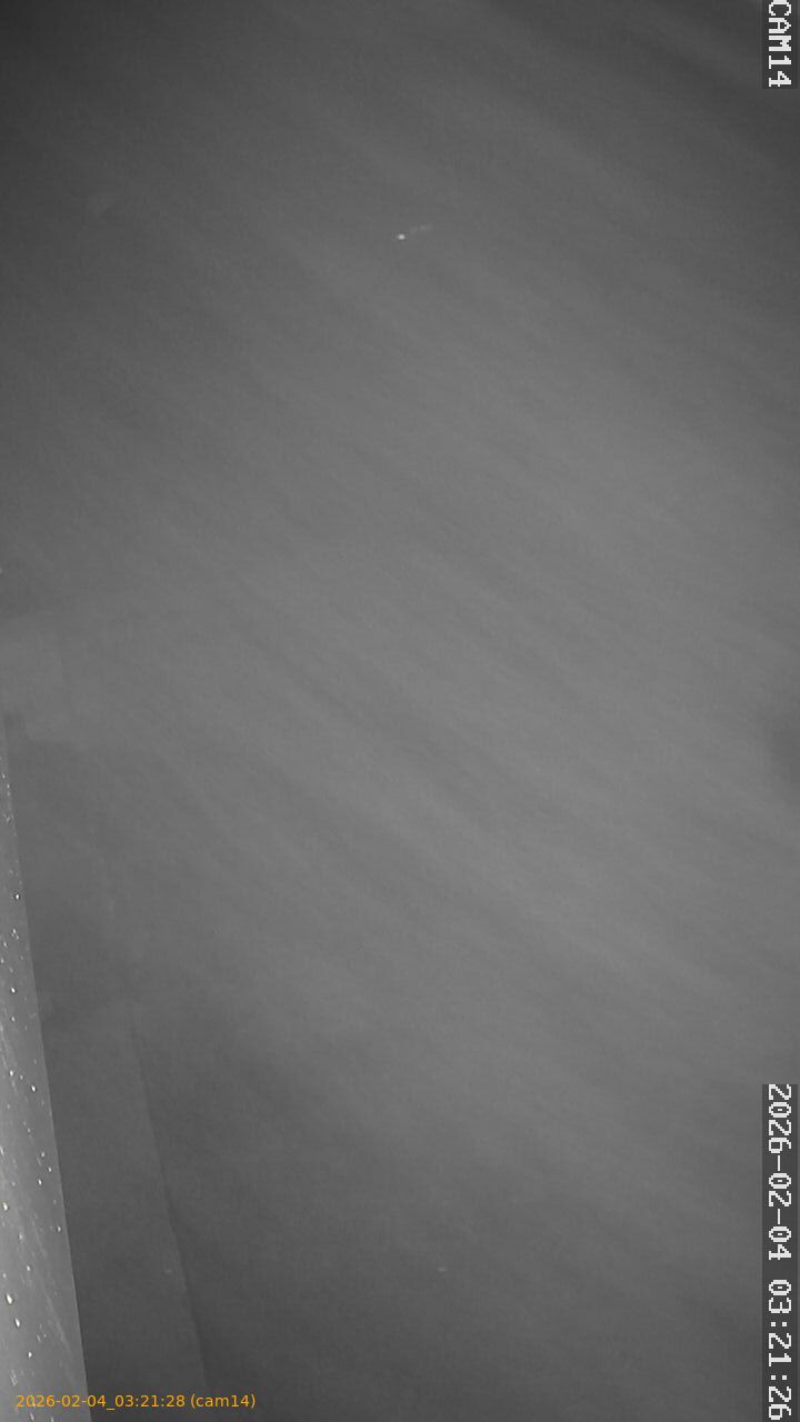 thumbnail_20260204032128