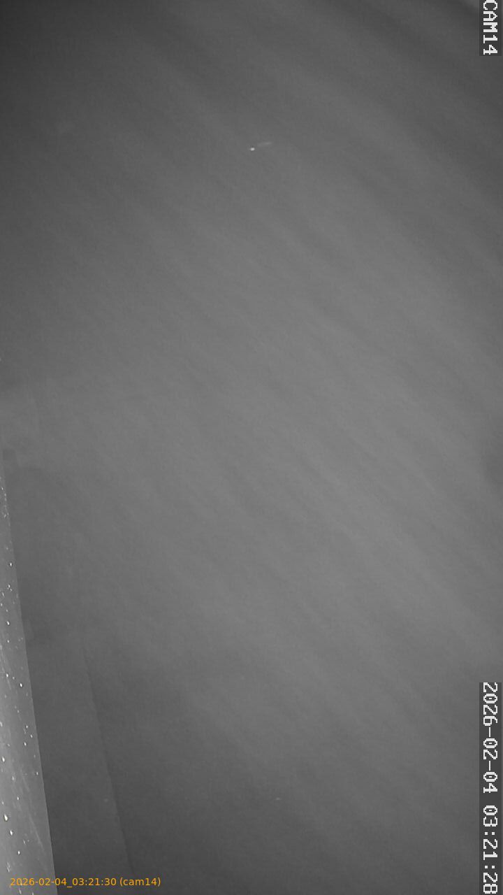 thumbnail_20260204032130