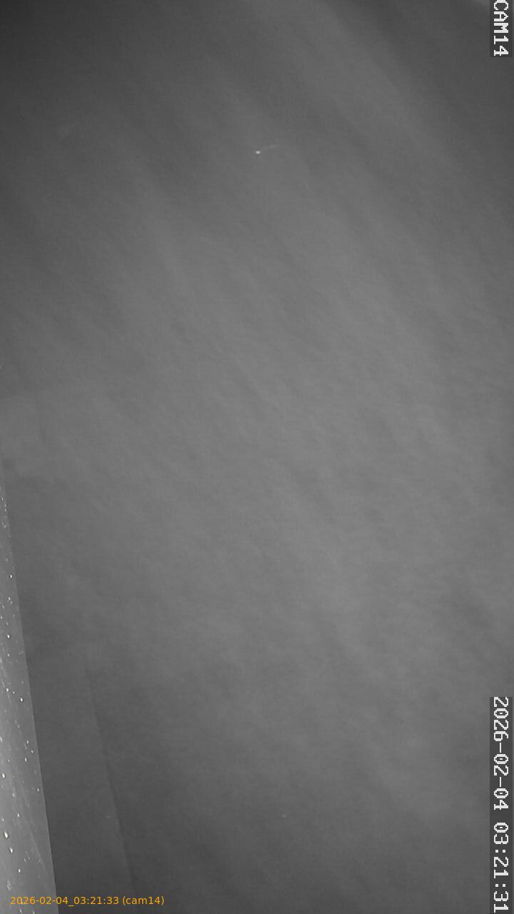 thumbnail_20260204032133