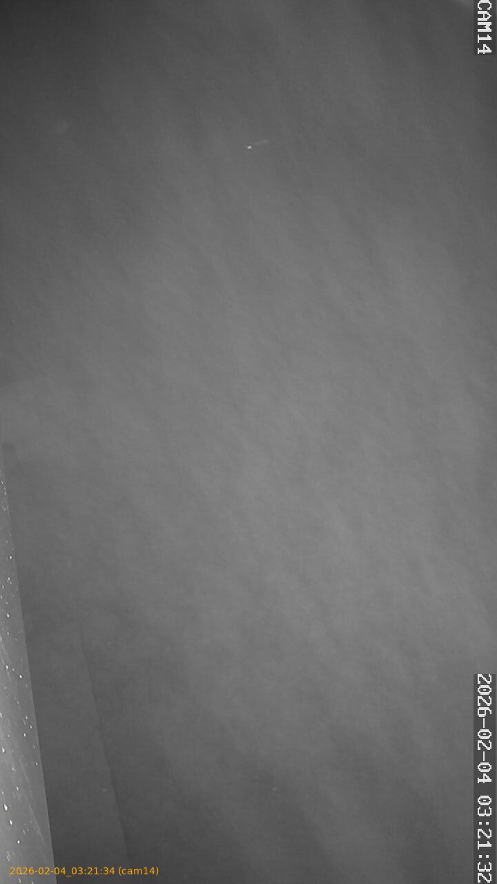 thumbnail_20260204032134