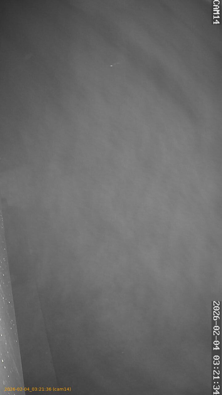 thumbnail_20260204032136