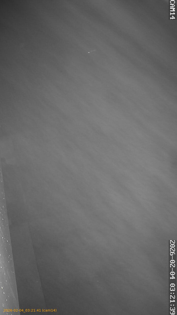 thumbnail_20260204032141