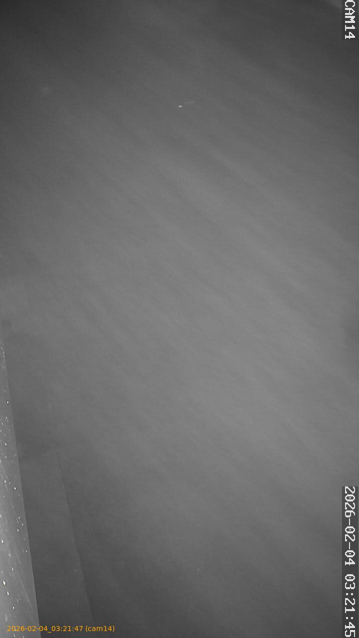 thumbnail_20260204032147