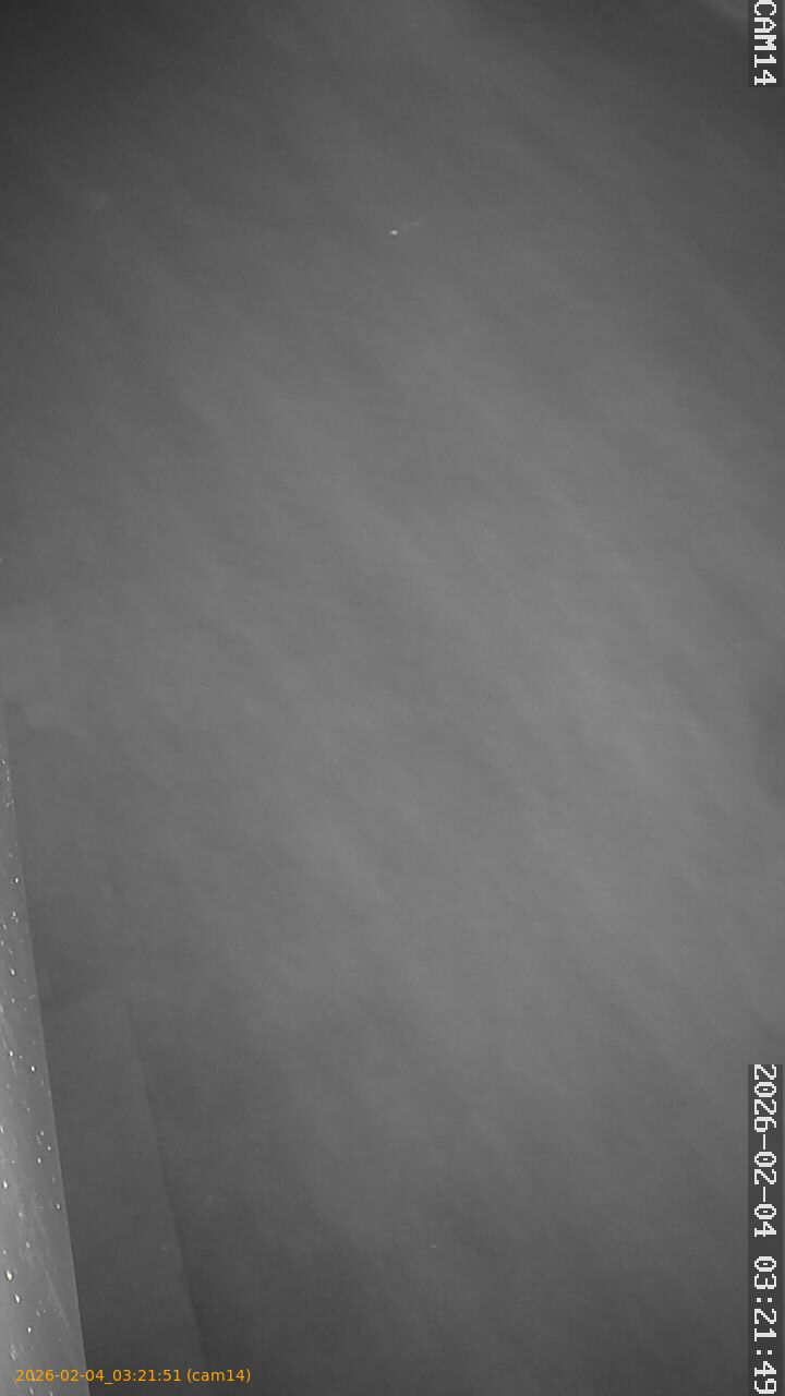 thumbnail_20260204032151