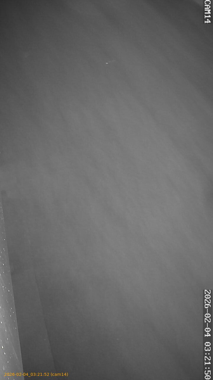 thumbnail_20260204032152