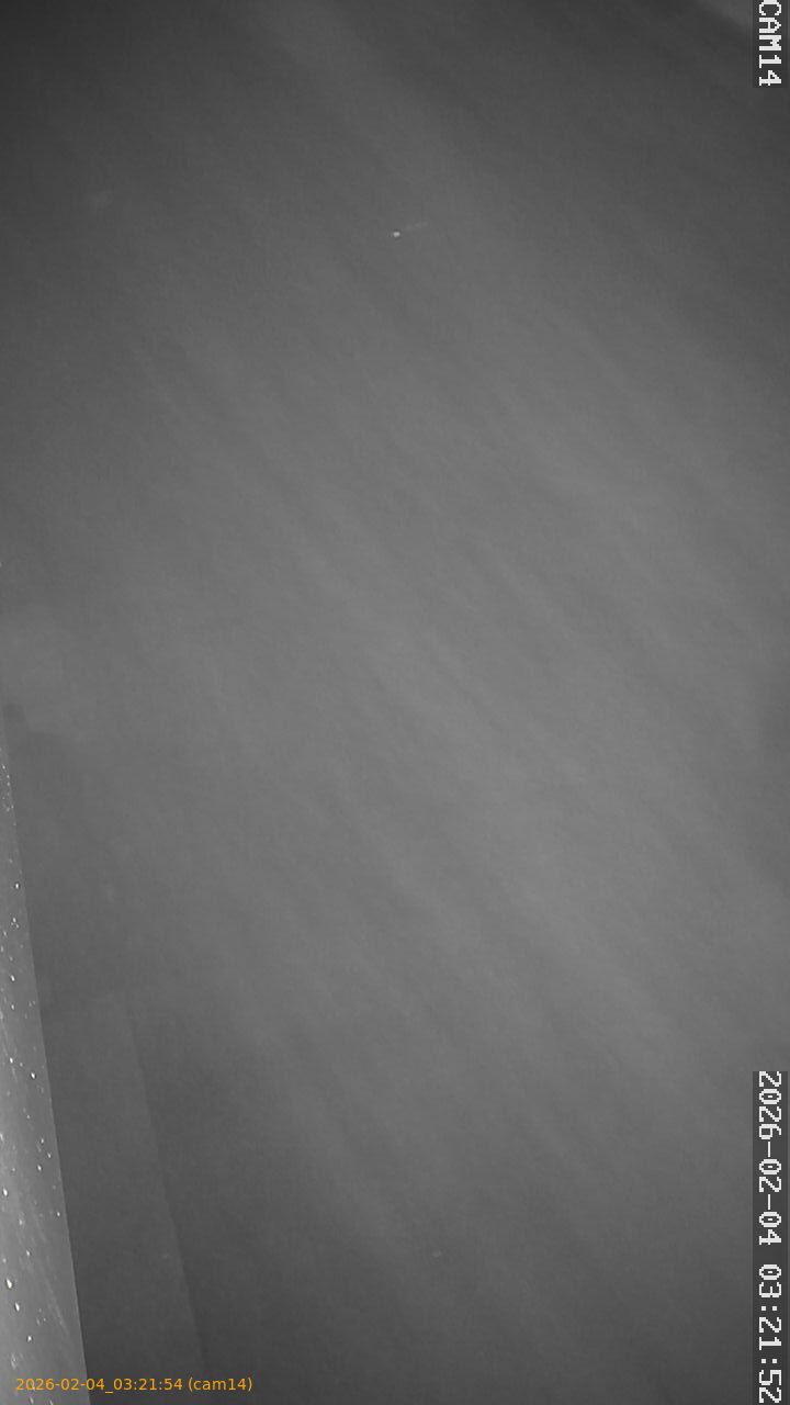 thumbnail_20260204032154