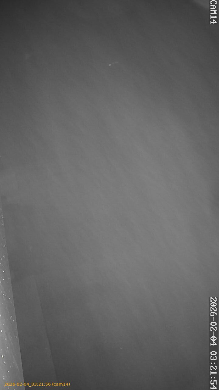 thumbnail_20260204032156