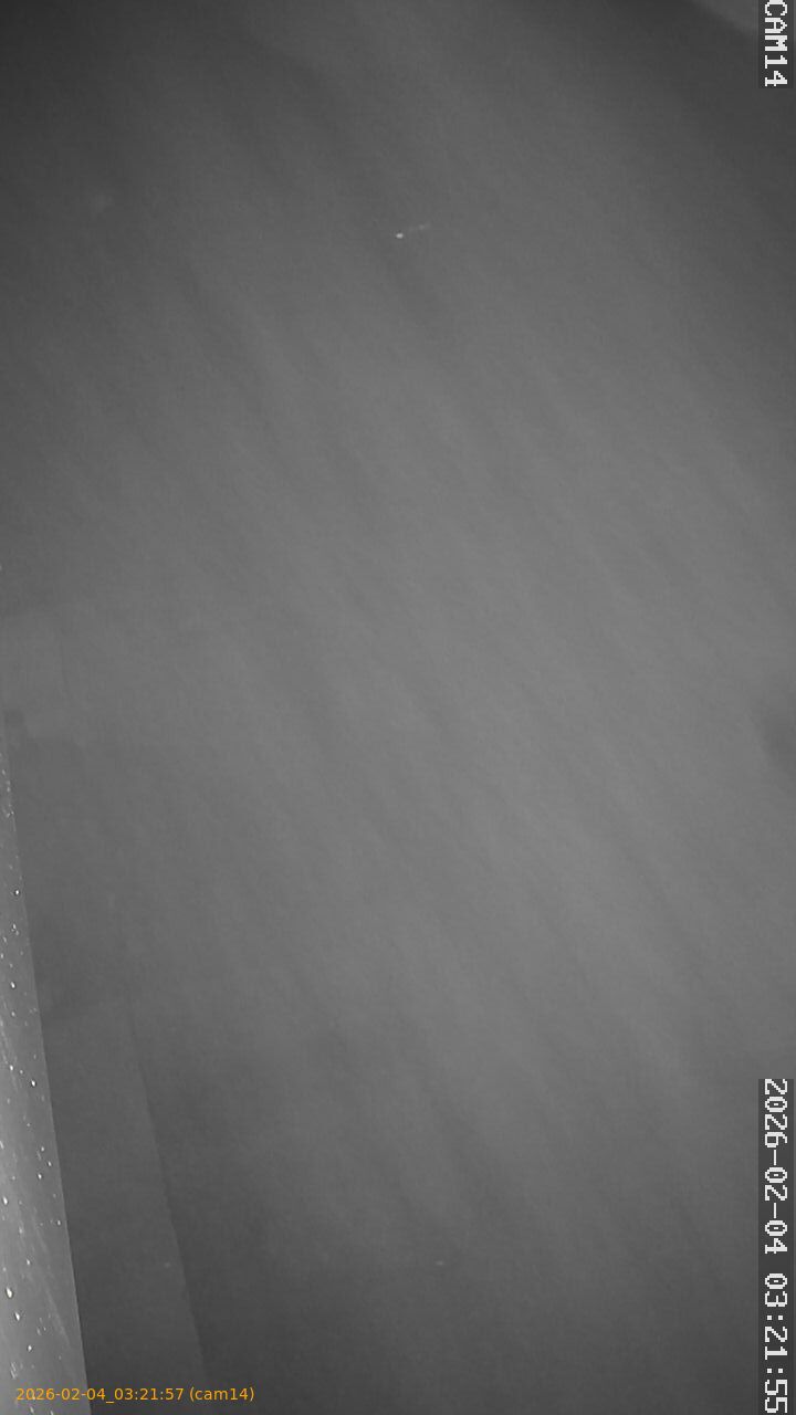 thumbnail_20260204032157