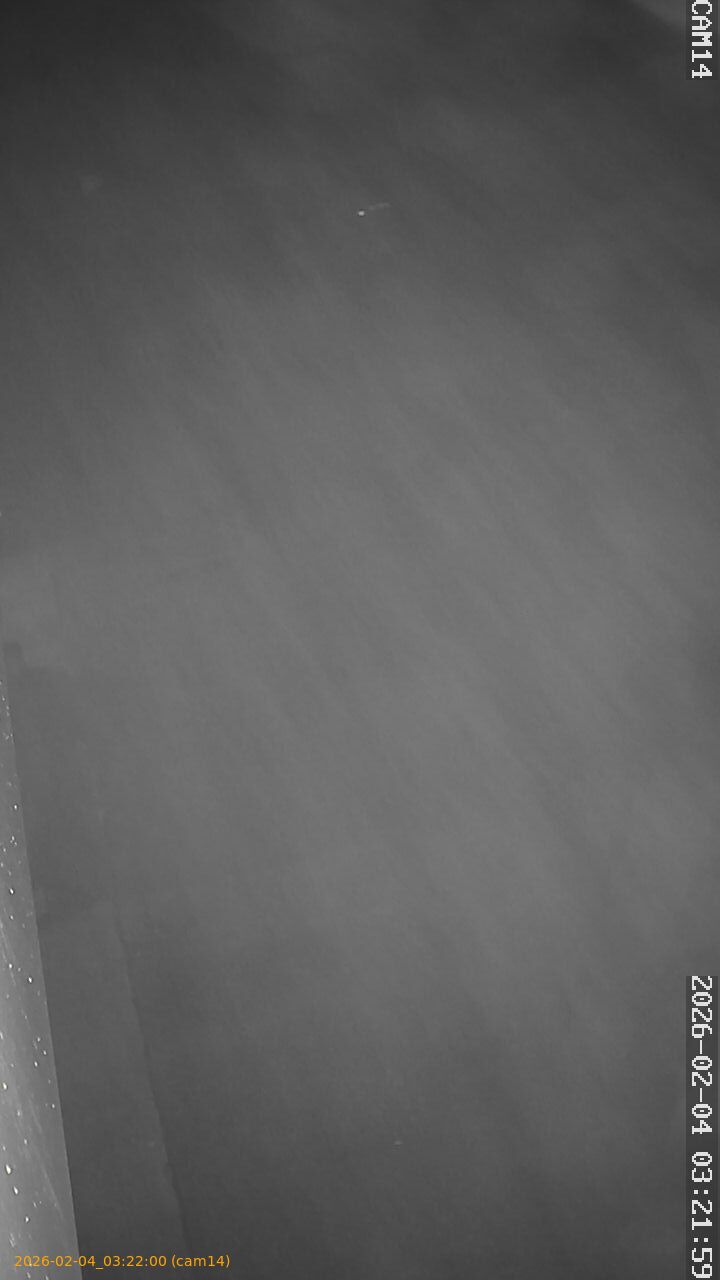 thumbnail_20260204032200