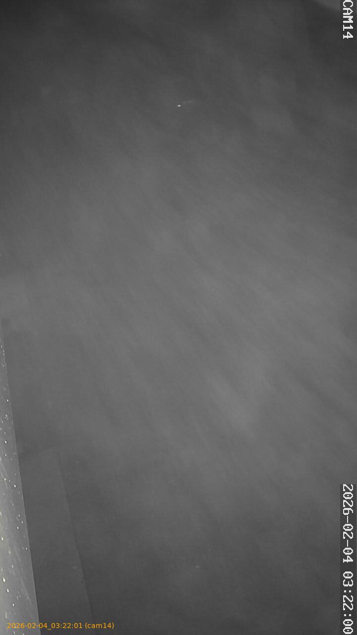 thumbnail_20260204032201