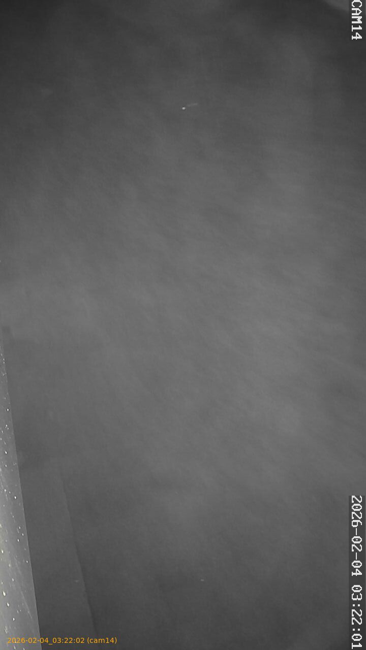 thumbnail_20260204032202