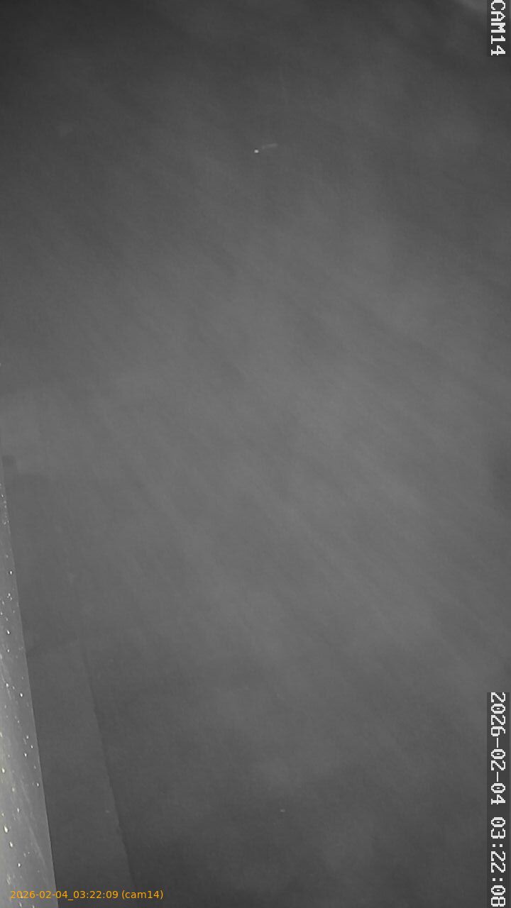 thumbnail_20260204032209