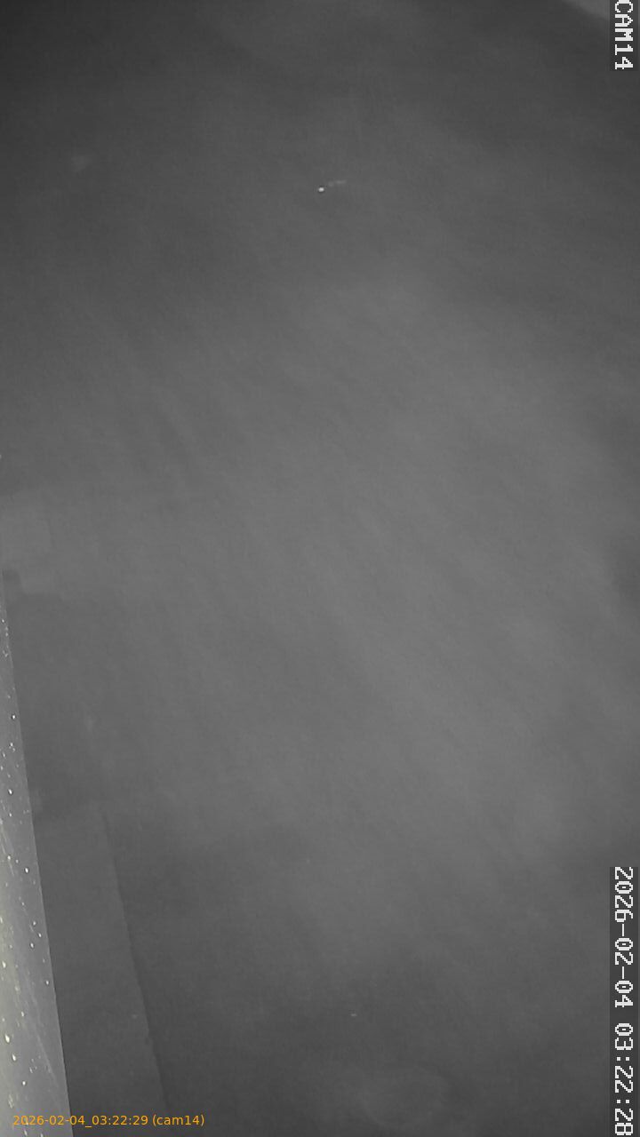 thumbnail_20260204032229