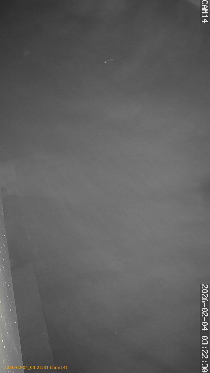 thumbnail_20260204032231