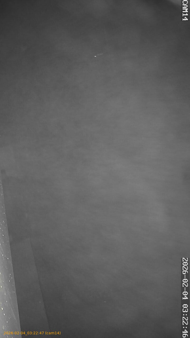 thumbnail_20260204032247