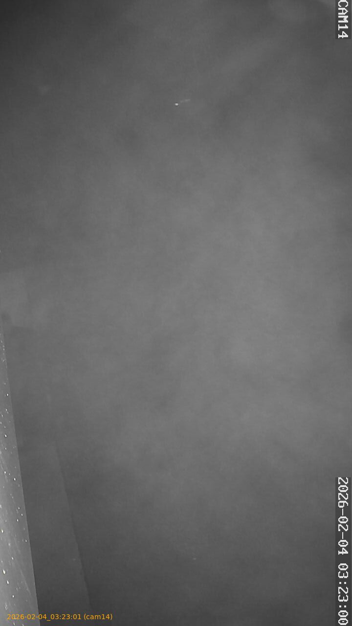 thumbnail_20260204032301