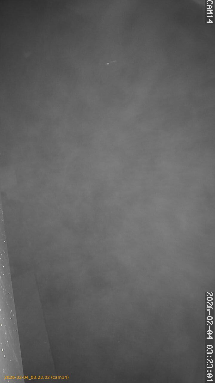 thumbnail_20260204032302