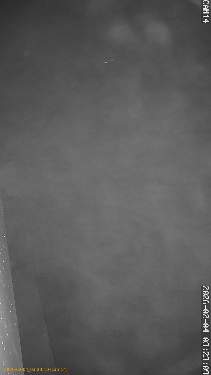 thumbnail_20260204032310