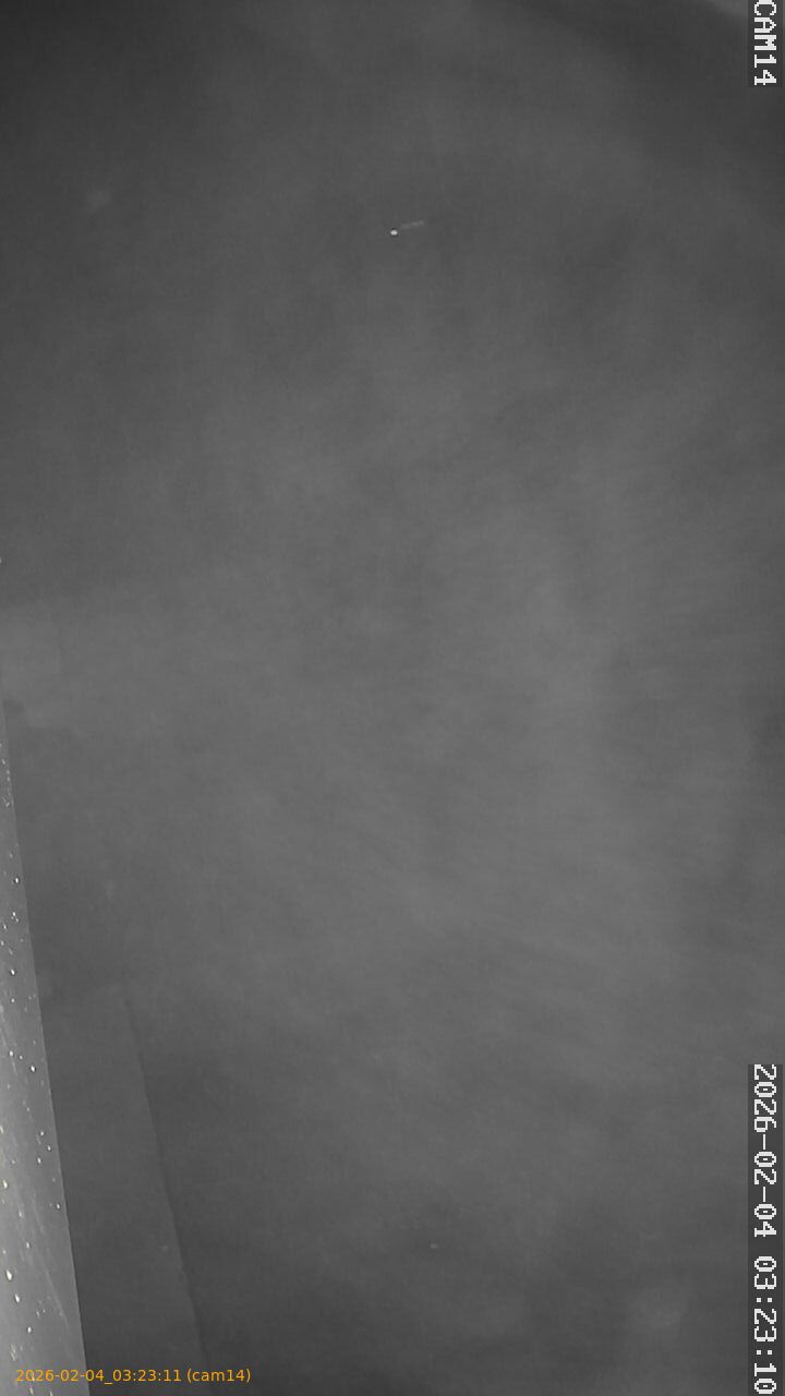 thumbnail_20260204032311