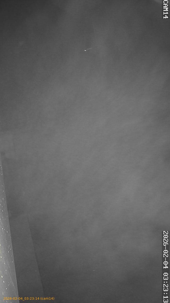 thumbnail_20260204032314