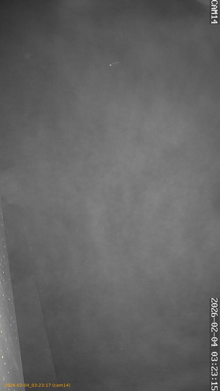 thumbnail_20260204032316