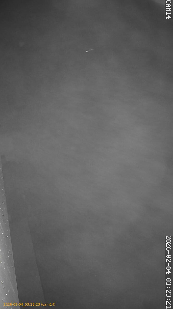 thumbnail_20260204032323