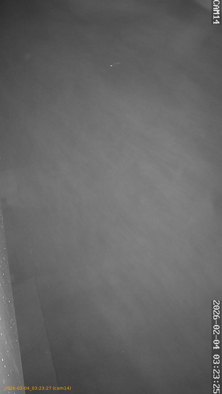 thumbnail_20260204032327