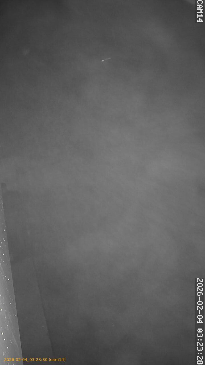 thumbnail_20260204032330