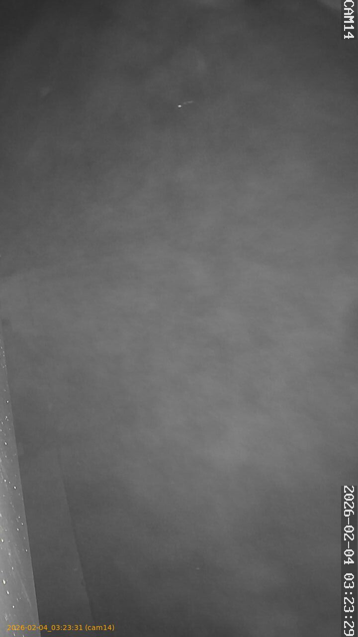 thumbnail_20260204032331