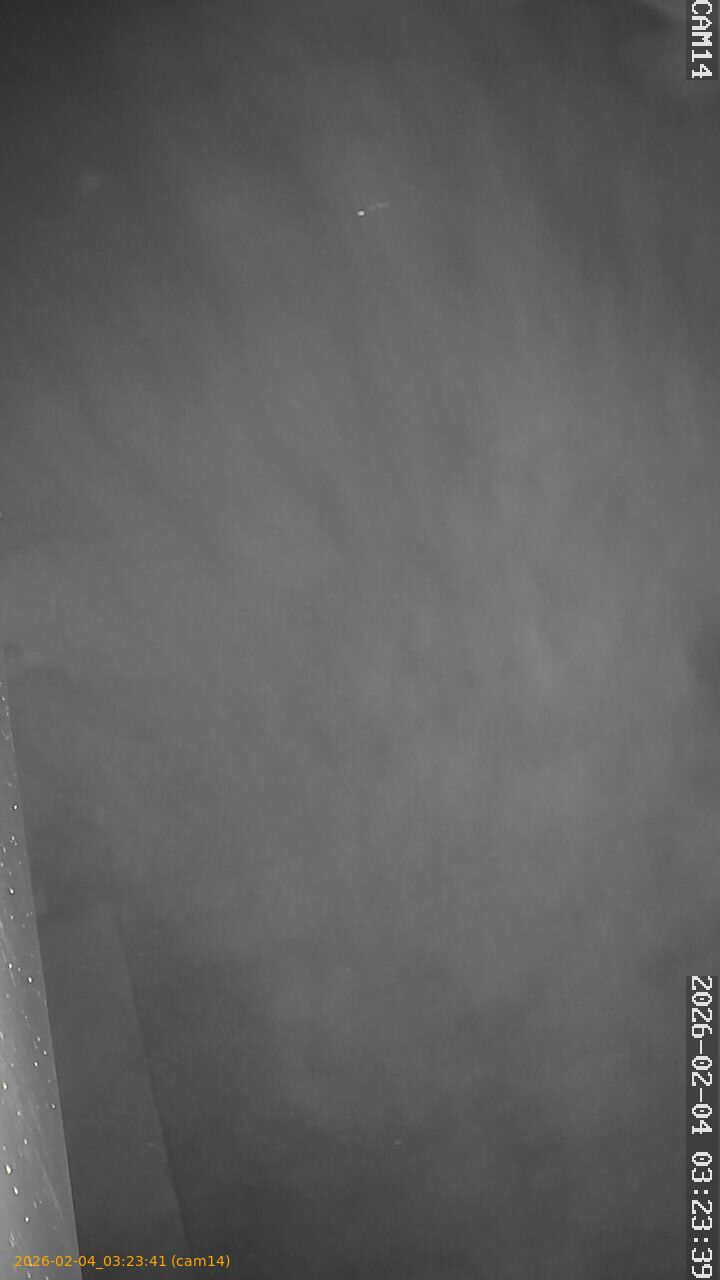 thumbnail_20260204032341