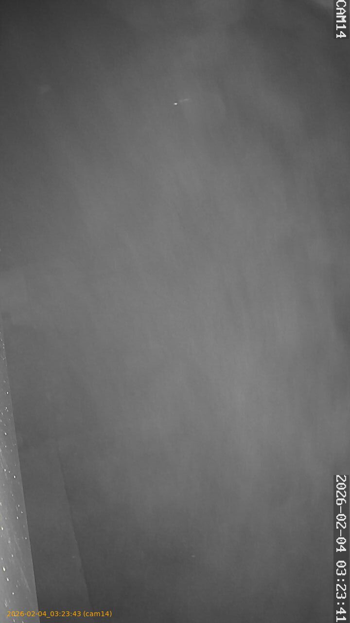 thumbnail_20260204032343