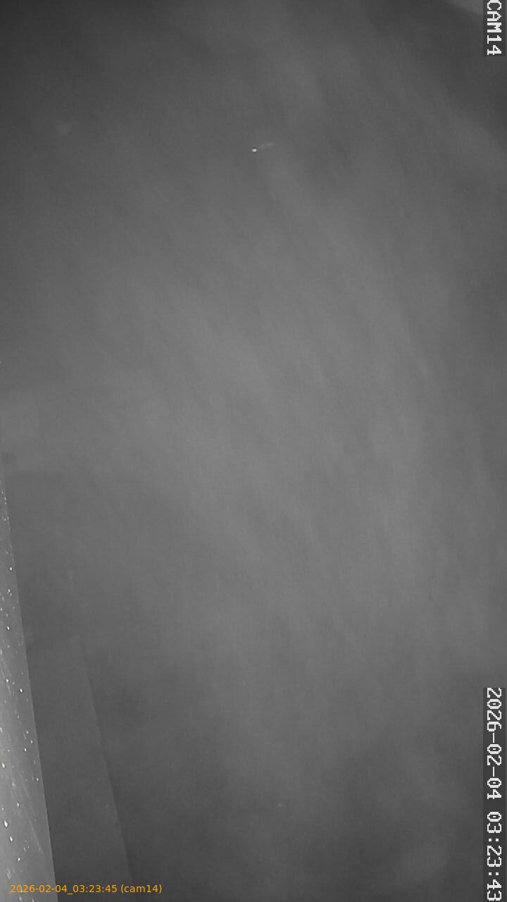 thumbnail_20260204032345