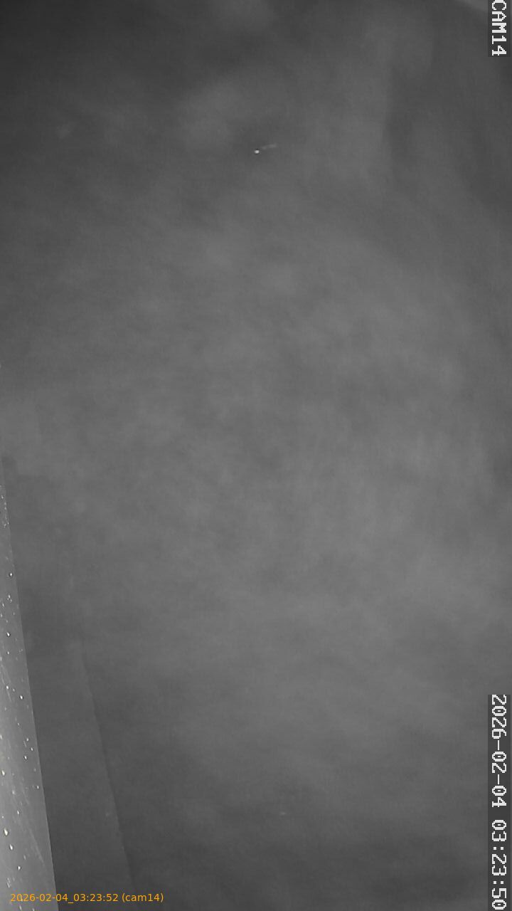 thumbnail_20260204032352