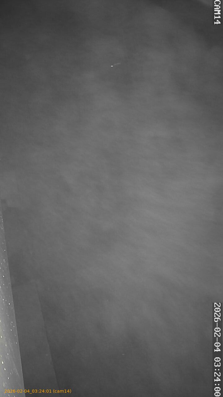 thumbnail_20260204032401