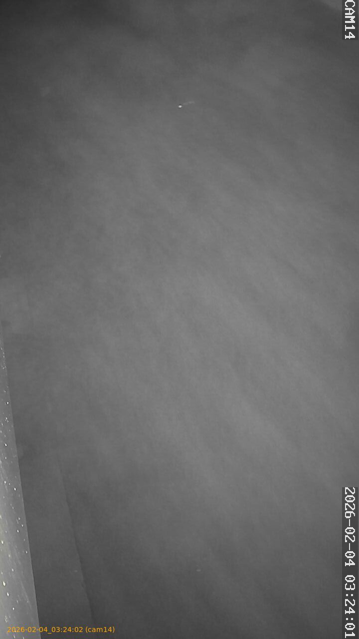 thumbnail_20260204032402