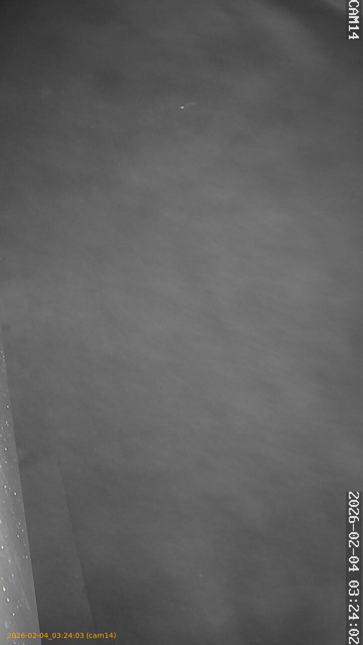 thumbnail_20260204032403