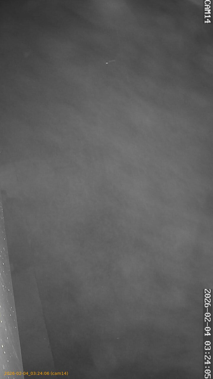 thumbnail_20260204032406