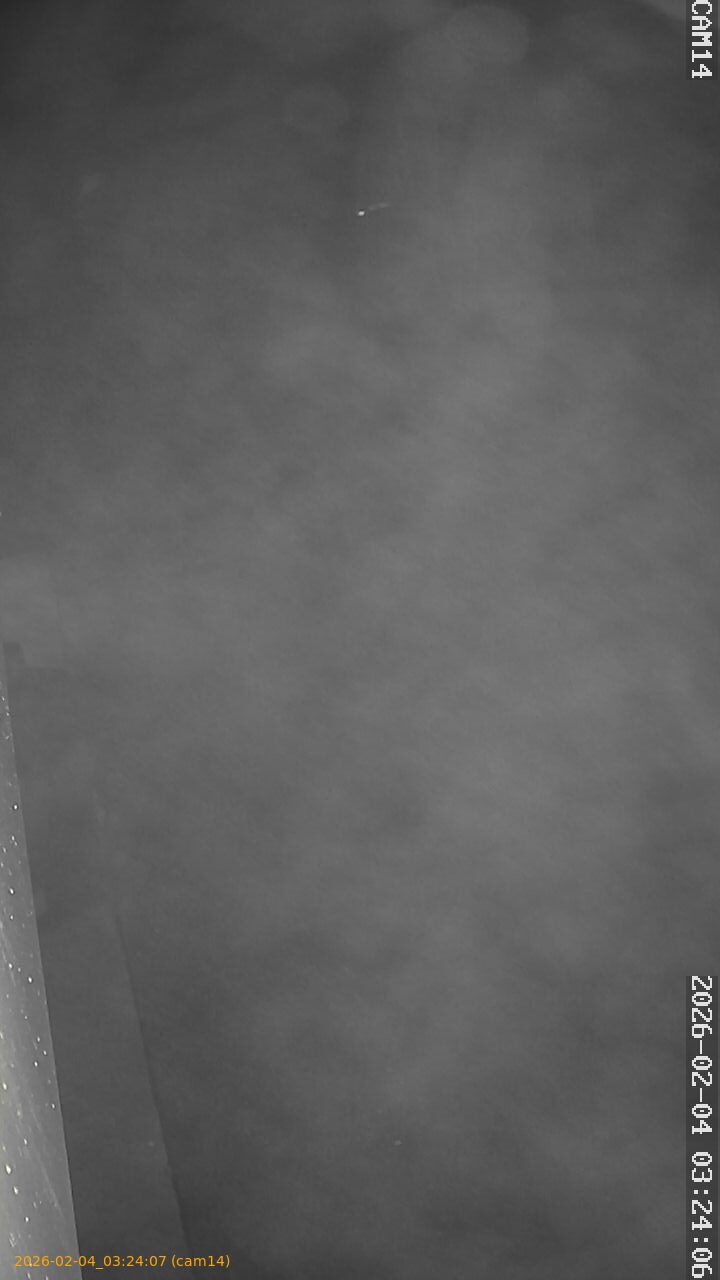 thumbnail_20260204032407