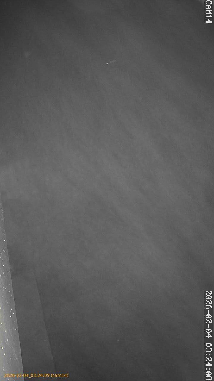 thumbnail_20260204032409