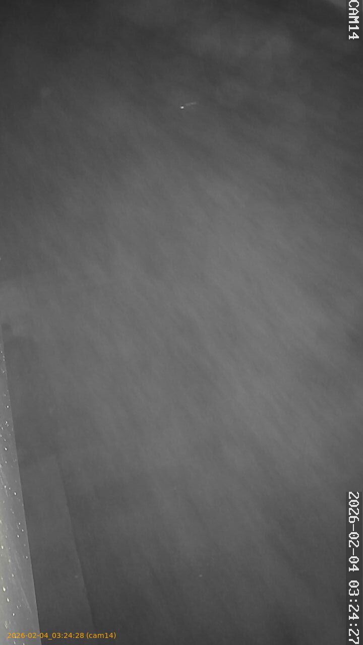 thumbnail_20260204032428