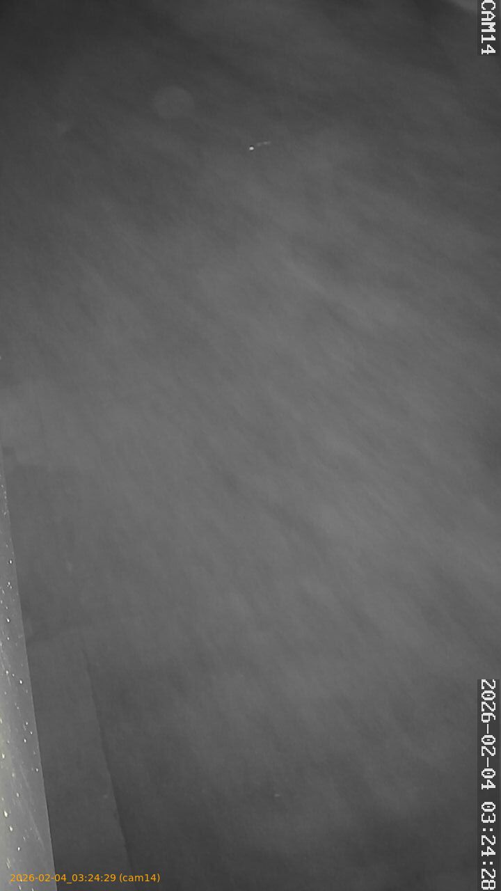 thumbnail_20260204032429