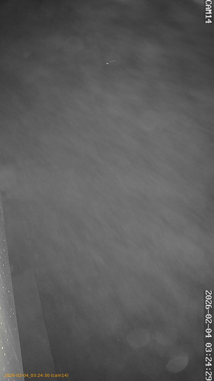 thumbnail_20260204032430