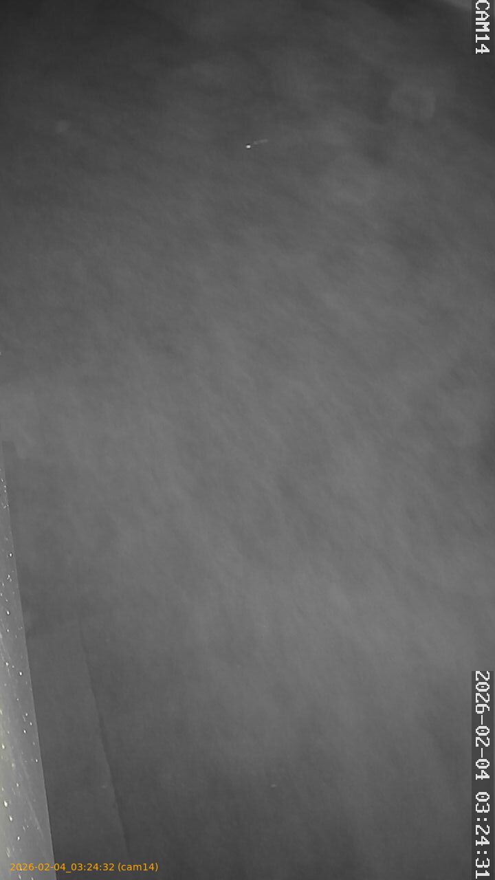 thumbnail_20260204032432