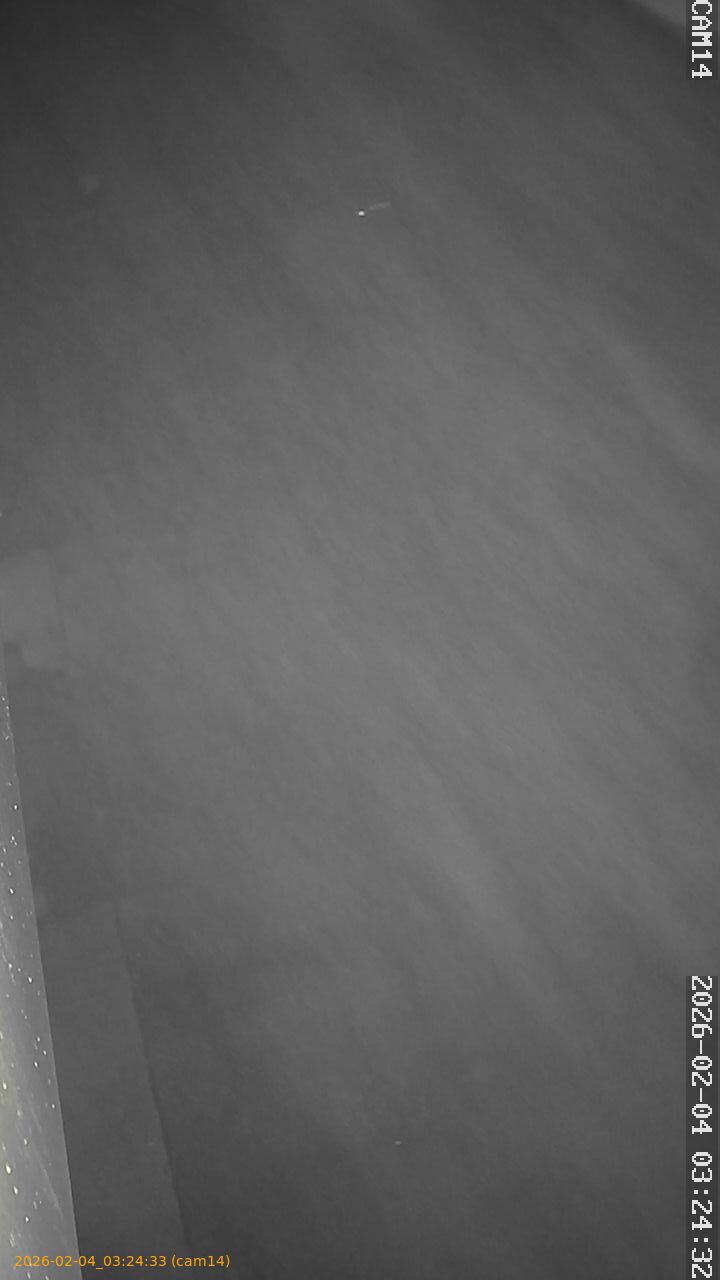 thumbnail_20260204032433