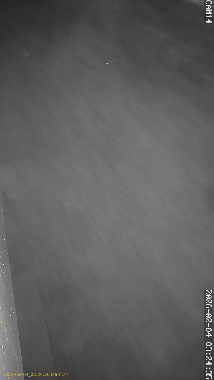 thumbnail_20260204032436