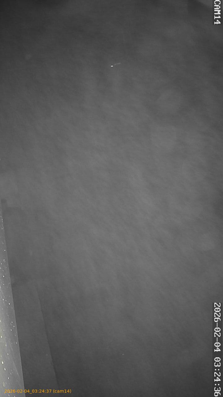 thumbnail_20260204032437