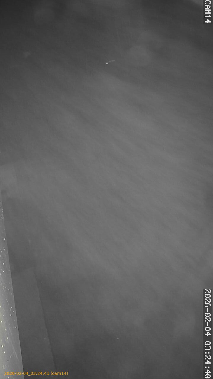 thumbnail_20260204032441