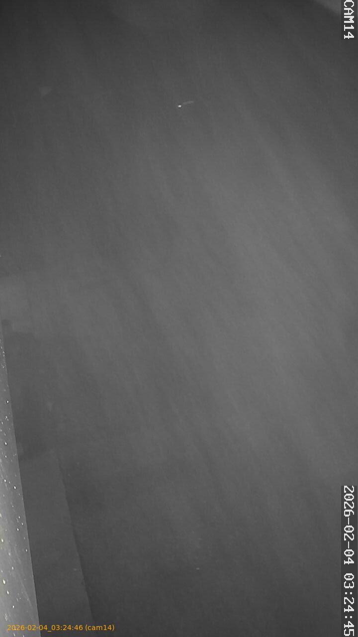 thumbnail_20260204032446